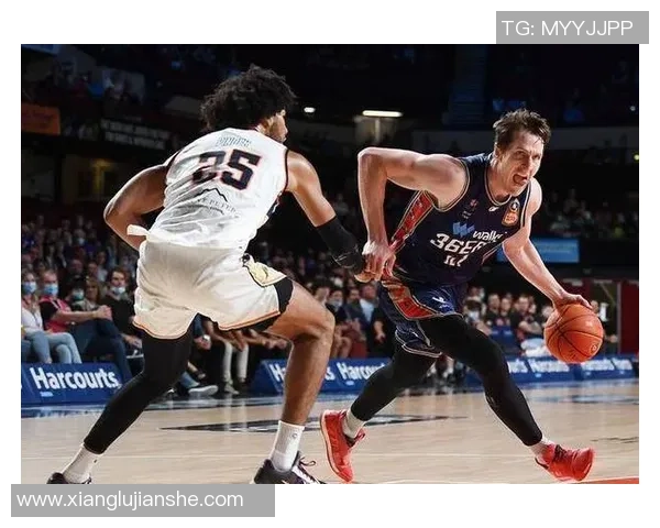 阿德莱德36人迎战伊拉瓦拉老鹰展现篮球激情与实力对决